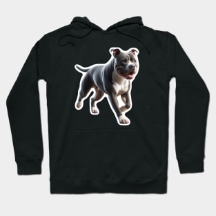 Pit Bull Hoodie